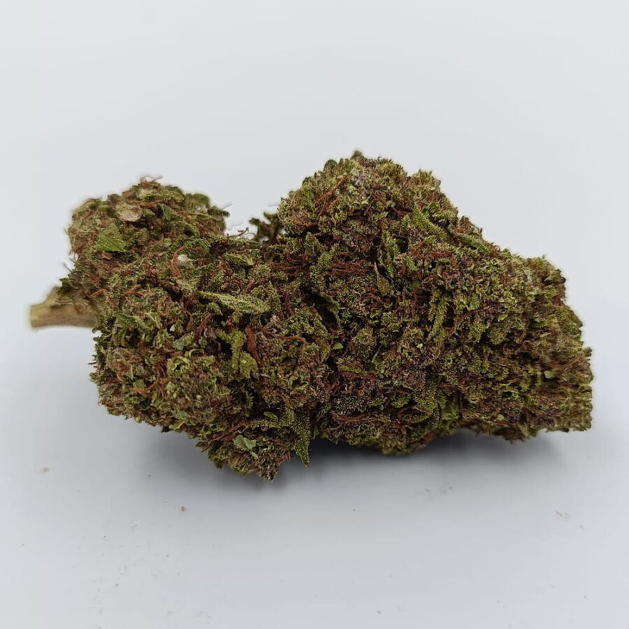 Fleurs Indoor CBD El Padrino Puissance Extrême