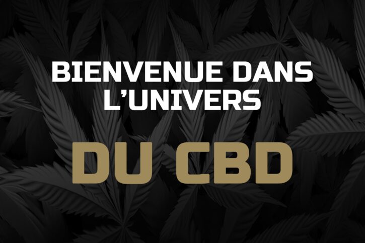 bienvenue-dans-l-univers-du-cbd