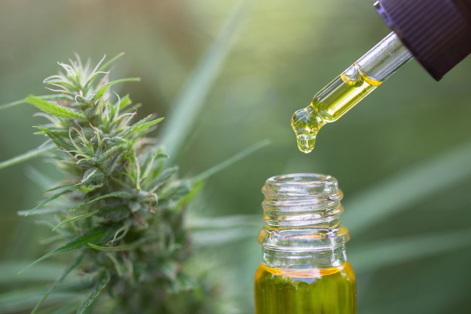 CBD Connection, CBD shop en ligne