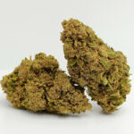 Amnésia Bud - 5GR