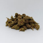 Amnésia Small Bud 40% - 5GR
