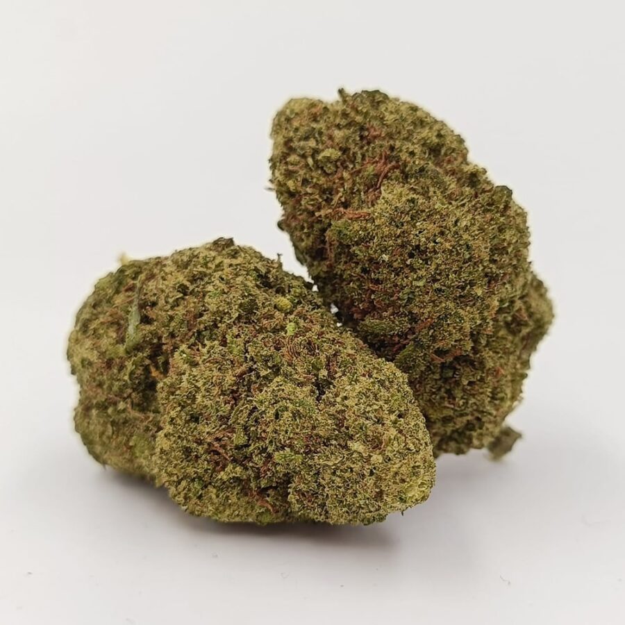 Fleurs CBD white widow Big Bud