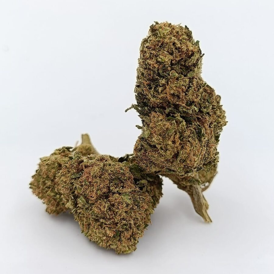 WHITE WIDOW Bud