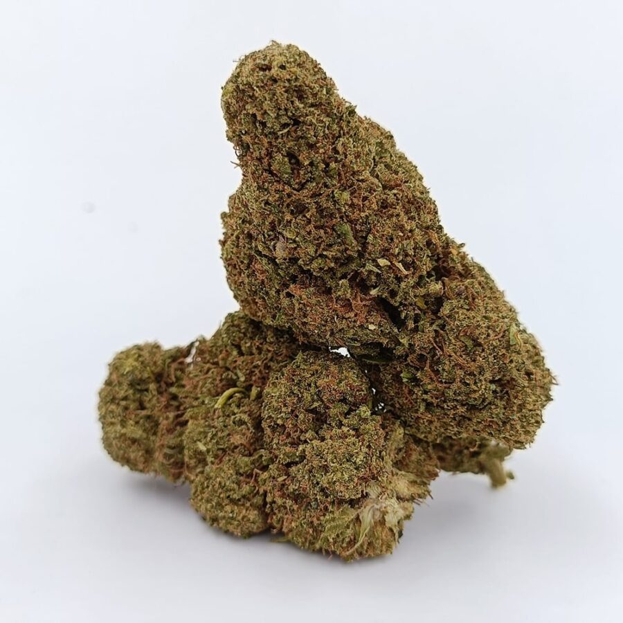 GORILLA MANDARINA Bud