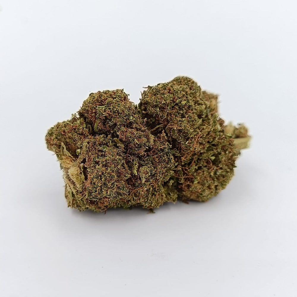 GORILLA MANDARINA Bud – Image 2