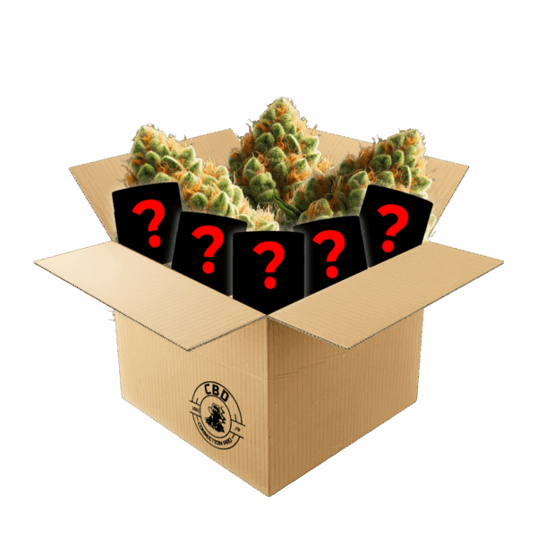 Mystery Box Fleurs Puissante 20G