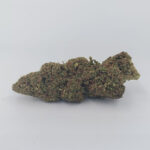 Fleur La Griselda Ultra-Puissante - 1GR